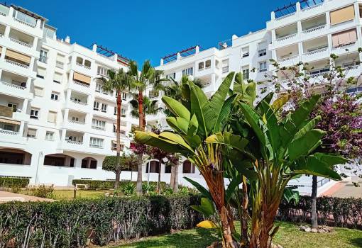 Appartement - Biens d'occasion - Marbella - Nueva Andalucía